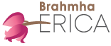 Brahmha Erica project logo - brahmha