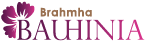 Brahmha bauhinia project logo - brahmha